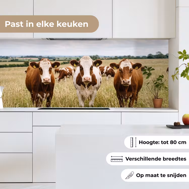 Koeien - Portret - Weide - Boerderij - Nieuwsgierig keuken achterwand 2 middel -sfeer4_NL
