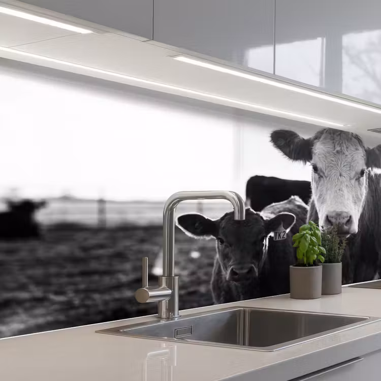 Koeien - Zwart - Wit keuken achterwand 2 middel -3d_schuin