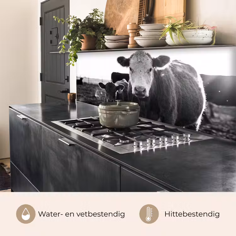Koeien - Zwart - Wit keuken achterwand 2 middel -usp_NL
