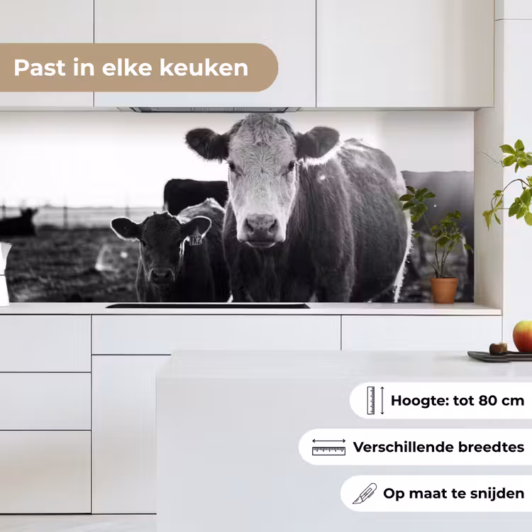 Koeien - Zwart - Wit keuken achterwand 2 middel -sfeer4_NL
