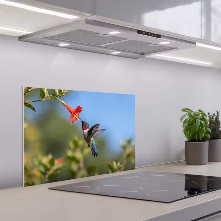 Kolibrie - Bloem - Natuur - Groen keuken achterwand 2 middel -usp_NL