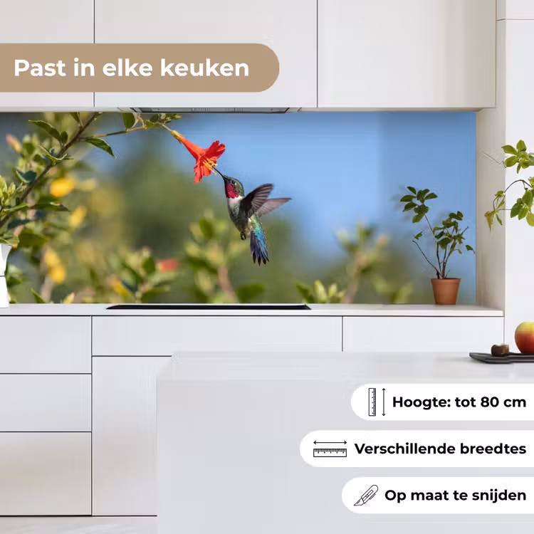 Kolibrie - Bloem - Natuur - Groen keuken achterwand 2 middel -sfeer4_NL