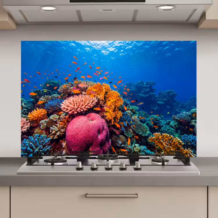 Koraal - Vissen - Oceaan - Natuur - Kleurrijk keuken achterwand spatscherm klein -3d_website
