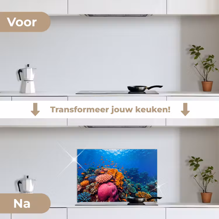 Koraal - Vissen - Oceaan - Natuur - Kleurrijk keuken achterwand spatscherm klein -voor_na_NL