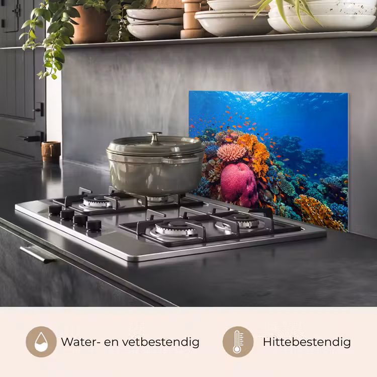 Koraal - Vissen - Oceaan - Natuur - Kleurrijk keuken achterwand spatscherm klein -usp_NL