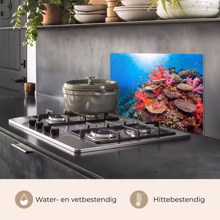Koraalrif - Vissen - Onderwater - Tropisch - Rood keuken achterwand spatscherm klein -usp_NL