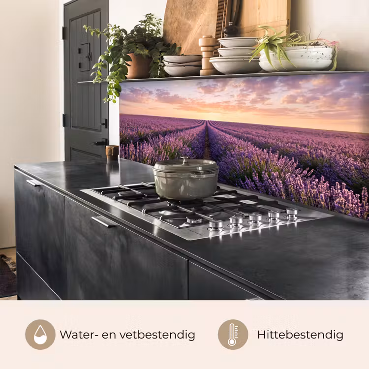 Landschap - Lavendelveld - Paars keuken achterwand 2 middel -usp_NL