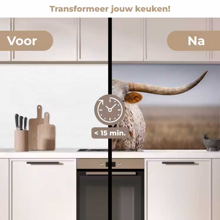 Longhorn - Grasveld - Dier keuken achterwand 2 middel -voor-na2_NL