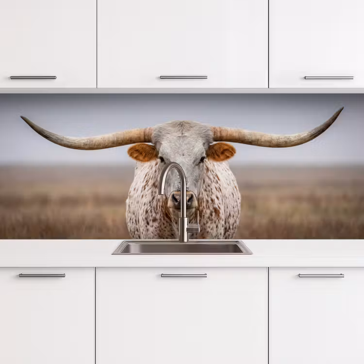Longhorn - Grasveld - Dier keuken achterwand 2 middel -3d