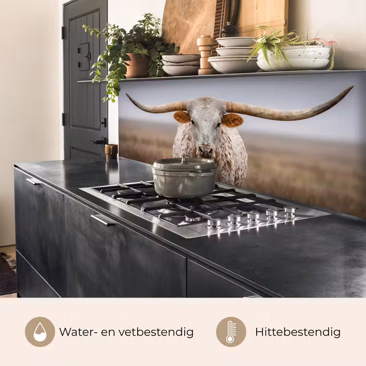 Longhorn - Grasveld - Dier keuken achterwand 2 middel -usp_NL