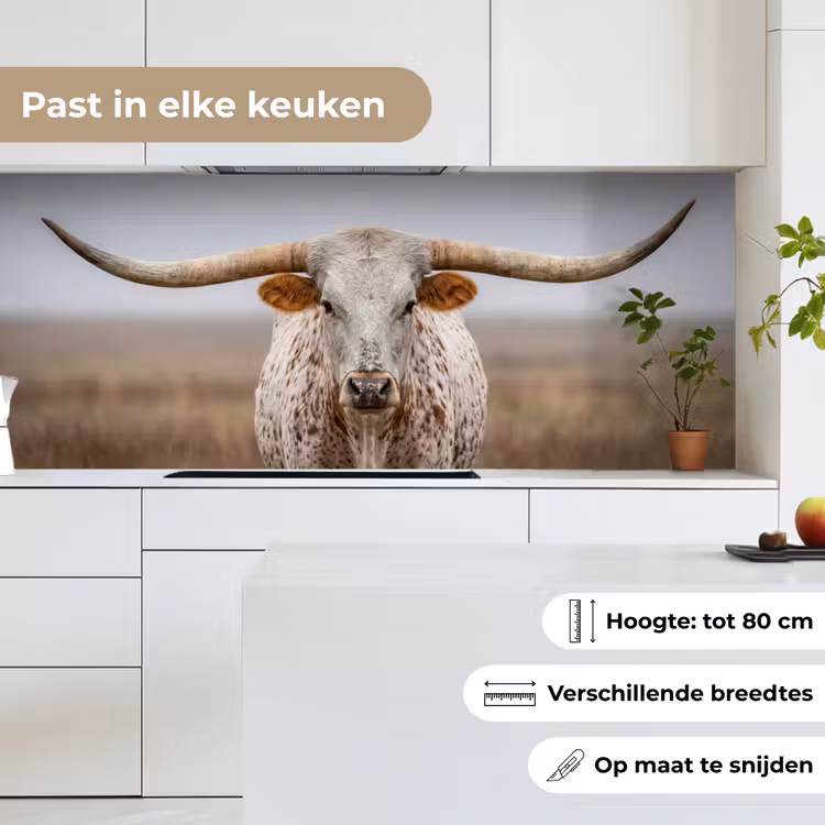 Longhorn - Grasveld - Dier keuken achterwand 2 middel -sfeer4_NL