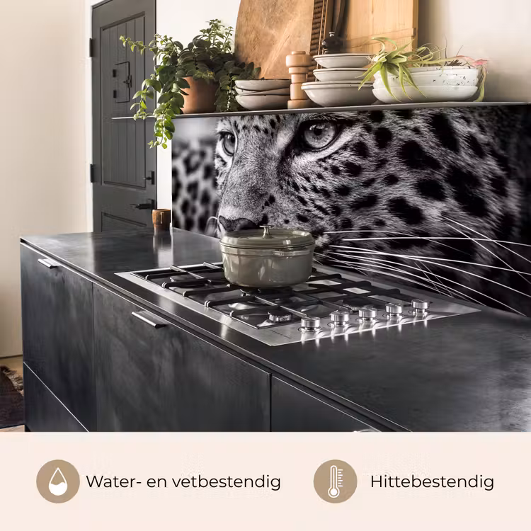 Luipaard - Zwart - Wit - Oog keuken achterwand 2 middel -usp_NL