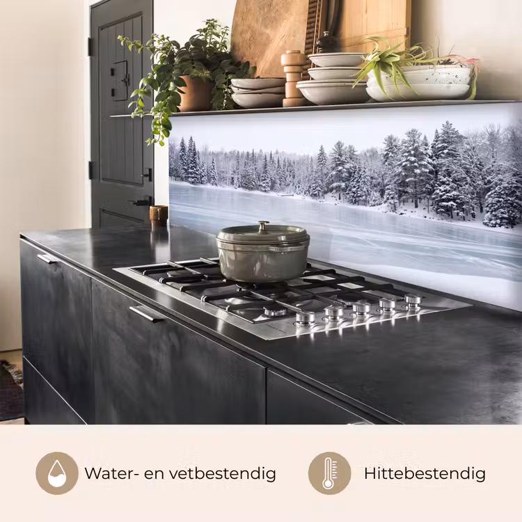 Meer - Dennen - IJs - Winter - Rustgevend keuken achterwand 2 middel -usp_NL