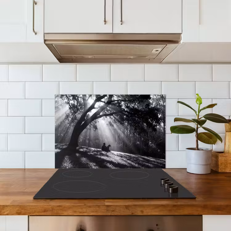 Mens - Hond - Natuur - Zwart-wit - Silhouet keuken achterwand spatscherm klein -sfeer2