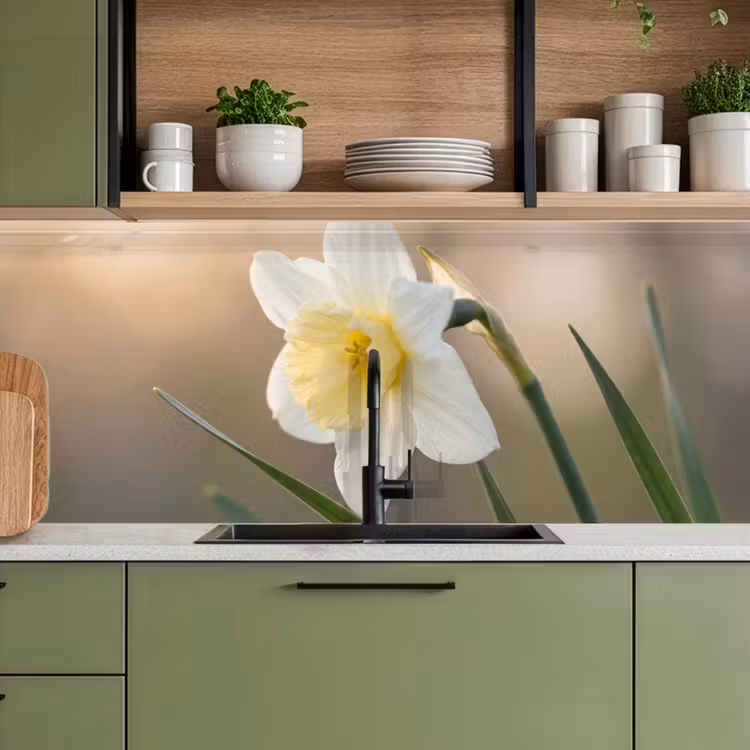 Narcis - Bloem - Minimalistisch keuken achterwand 2 middel -sfeer3