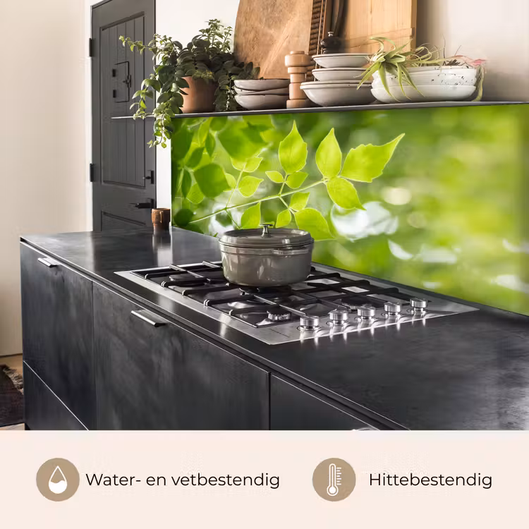 Natuur - Lente - Groen - Bladeren keuken achterwand 2 middel -usp_NL