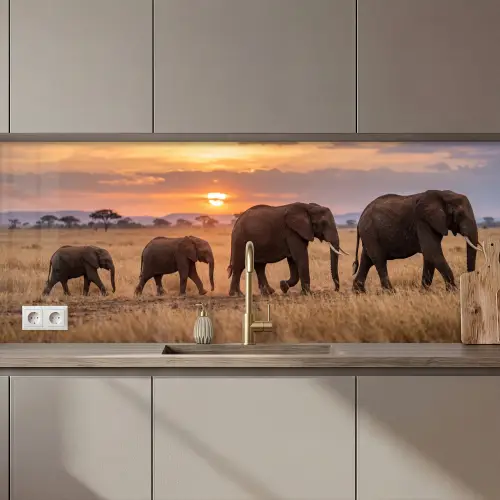 Keuken achterwand - Olifanten - Savanne - Zonsondergang - Afrika - Warm