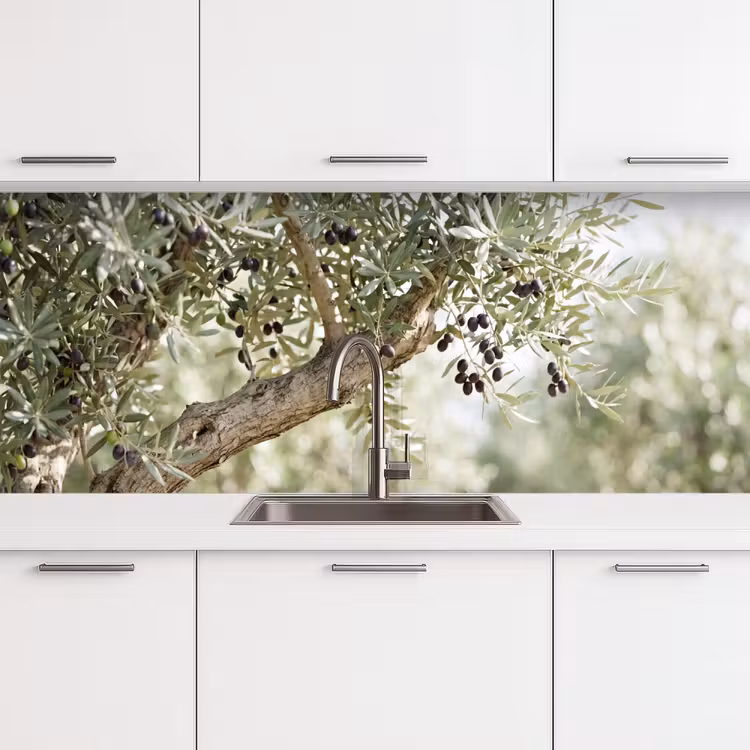Keuken achterwand - Olijfboom - tak - groen - Olijfboom - tak - groen keuken achterwand 2 middel