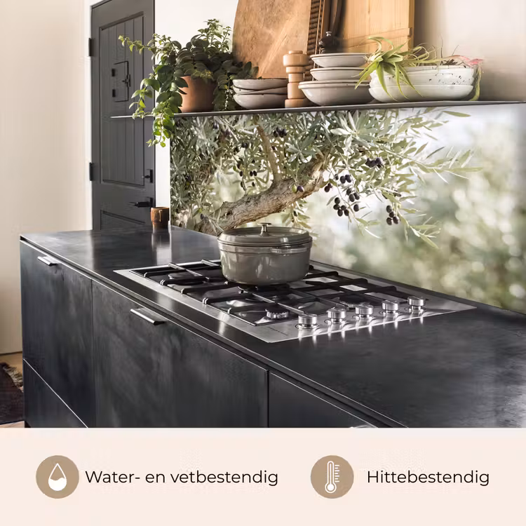 Keuken achterwand - Olijfboom - tak - groen - Olijfboom - tak - groen keuken achterwand 2 middel