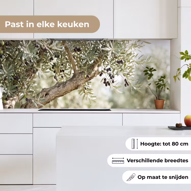 Keuken achterwand - Olijfboom - tak - groen - Olijfboom - tak - groen keuken achterwand 2 middel