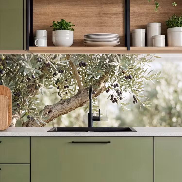 Keuken achterwand - Olijfboom - tak - groen - Olijfboom - tak - groen keuken achterwand 2 middel