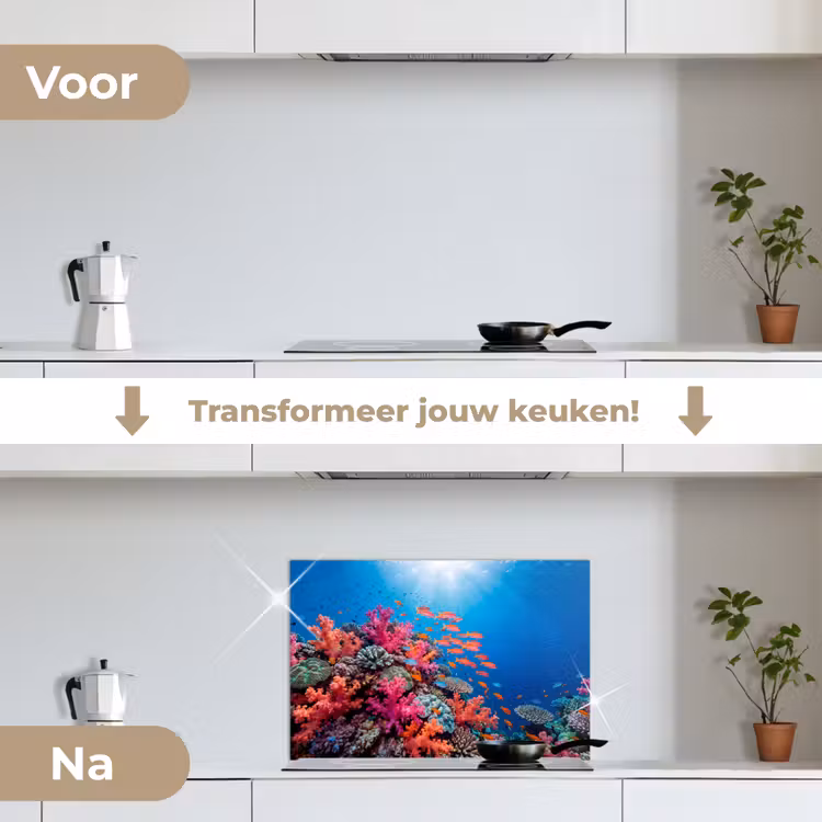 Onderwater - Koraalrif - Vissen - Oceaan - Natuur keuken achterwand spatscherm klein -voor_na_NL