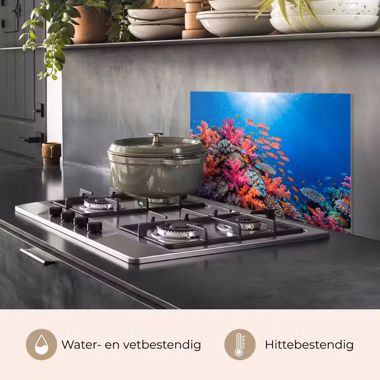 Onderwater - Koraalrif - Vissen - Oceaan - Natuur keuken achterwand spatscherm klein -usp_NL