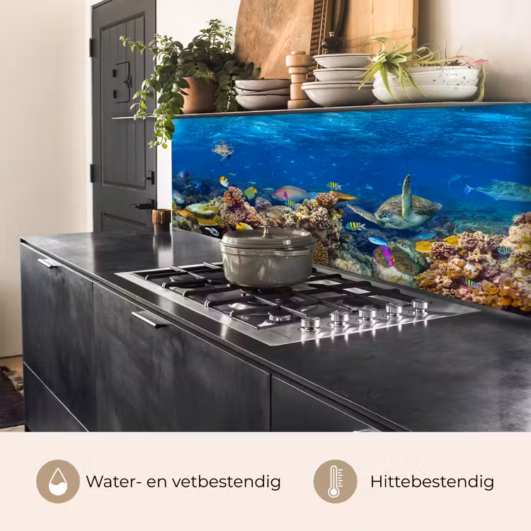 Onderwaterlandschap - Vissen - Schildpad - Blauw keuken achterwand 2 middel -usp_NL