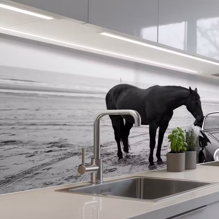 Paard - Auto - Zwart - Wit keuken achterwand 2 middel -3d_schuin