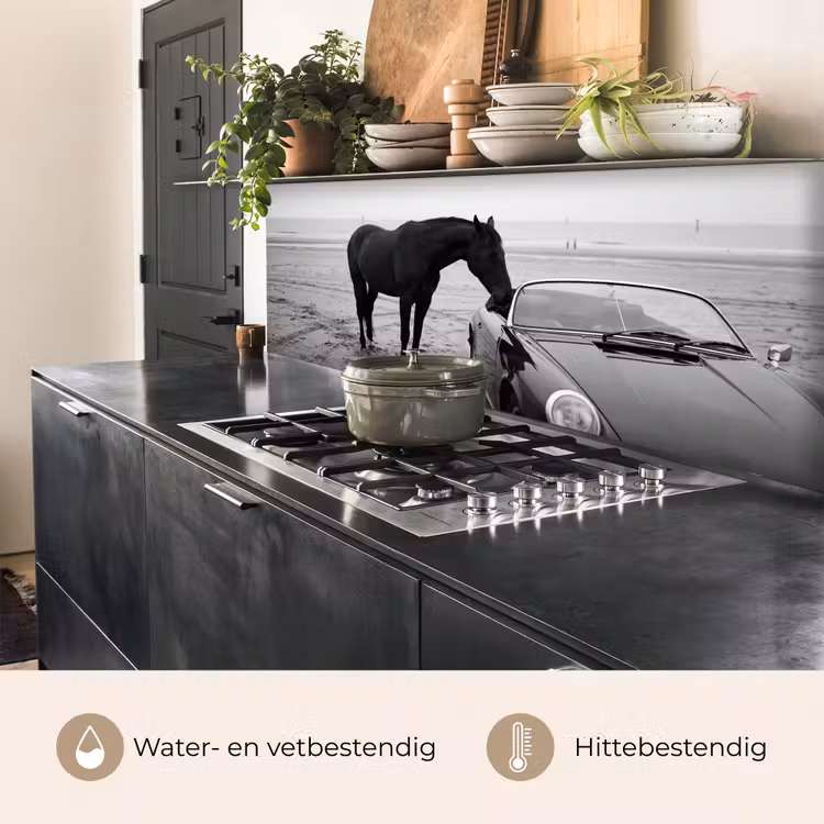 Paard - Auto - Zwart - Wit keuken achterwand 2 middel -usp_NL