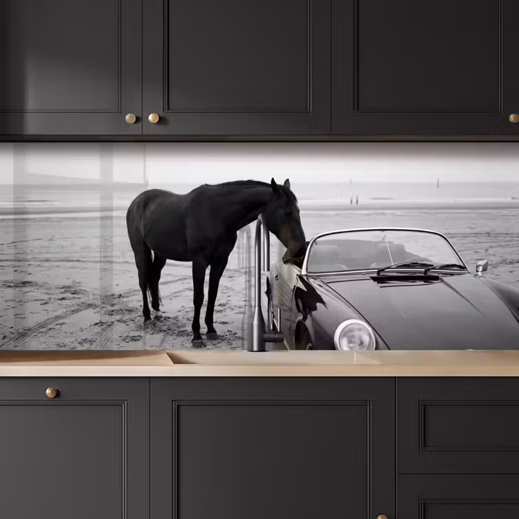 Paard - Auto - Zwart - Wit keuken achterwand 2 middel -sfeer1