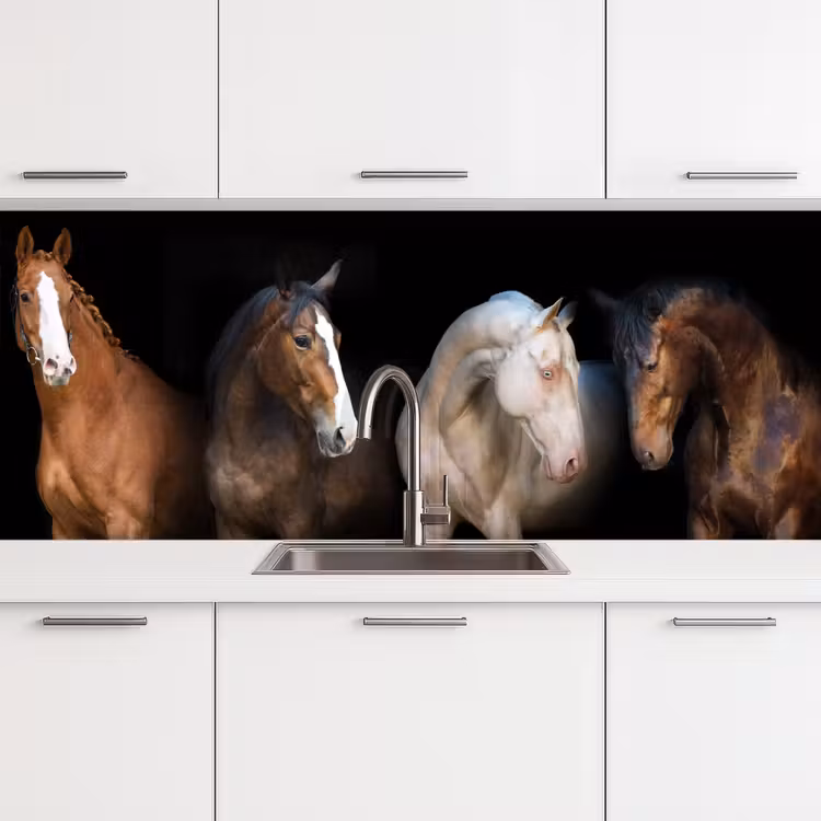 Paard - Dieren - Zwart keuken achterwand 2 middel -3d