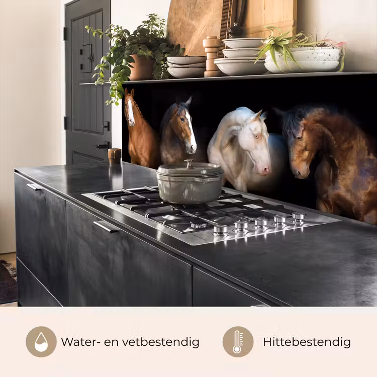 Paard - Dieren - Zwart keuken achterwand 2 middel -usp_NL