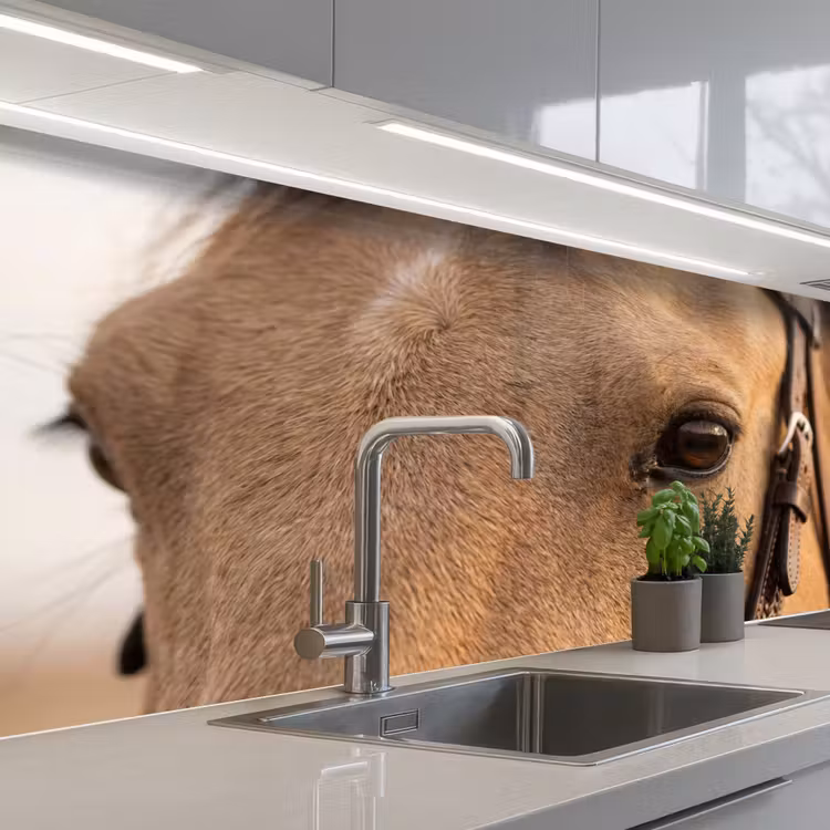 Paard - Oog - Bruin keuken achterwand 2 middel -3d_schuin