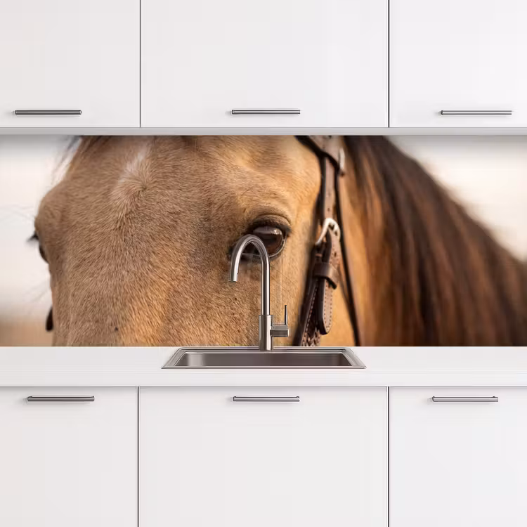Paard - Oog - Bruin keuken achterwand 2 middel -3d