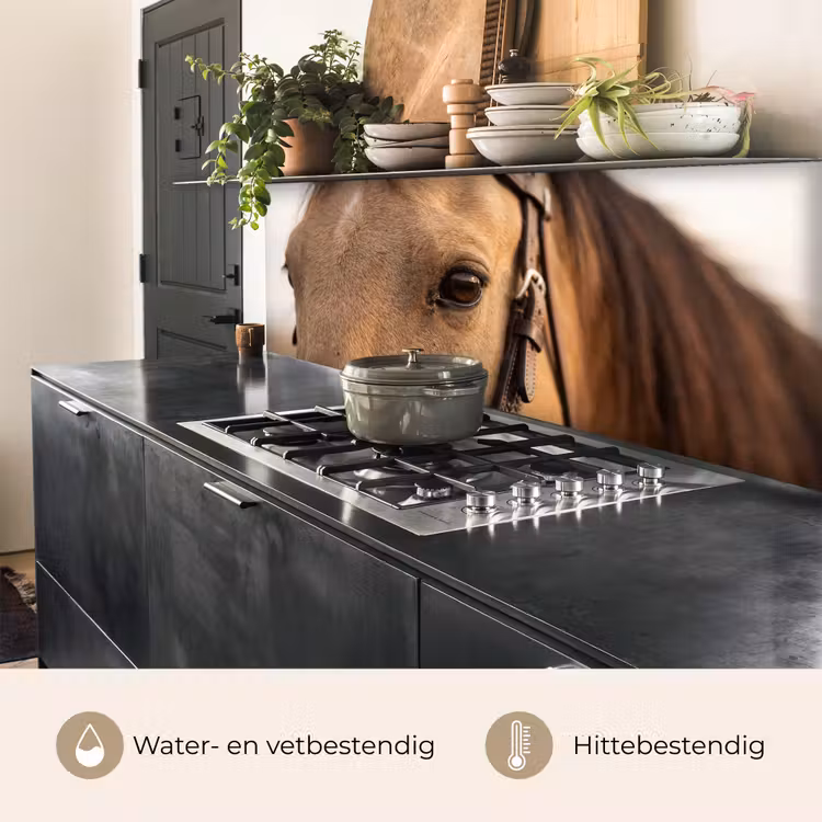 Paard - Oog - Bruin keuken achterwand 2 middel -usp_NL