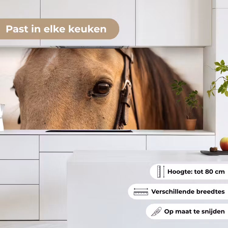 Paard - Oog - Bruin keuken achterwand 2 middel -sfeer4_NL