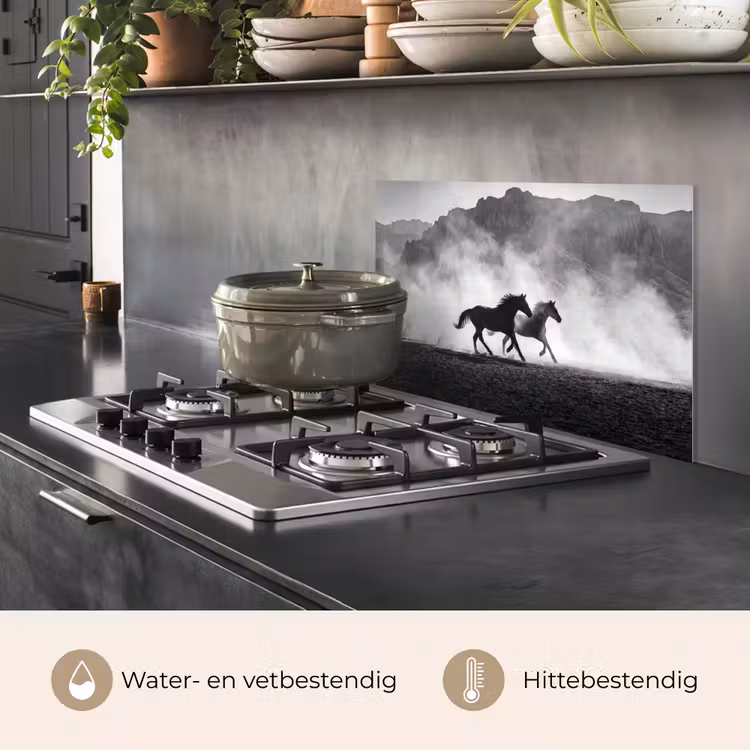 Paard - Ren - Stof - Zwart-wit - Dieren keuken achterwand spatscherm klein -usp_NL