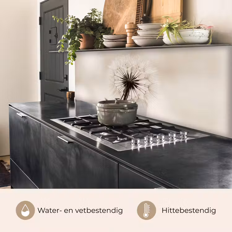Paardenbloem - Minimalistisch - Wit keuken achterwand 2 middel -usp_NL