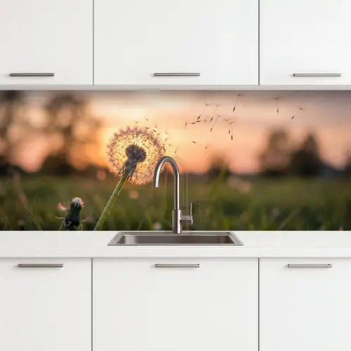 Paardenbloem - Zonsondergang - Veld keuken achterwand 2 middel -3d