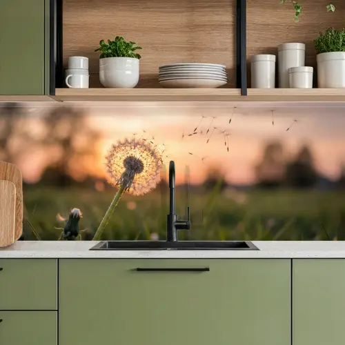 Paardenbloem - Zonsondergang - Veld keuken achterwand 2 middel -sfeer3