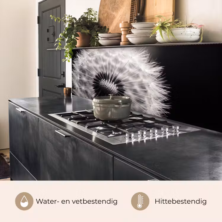 Paardenbloem - Zwart - Wit keuken achterwand 2 middel -usp_NL