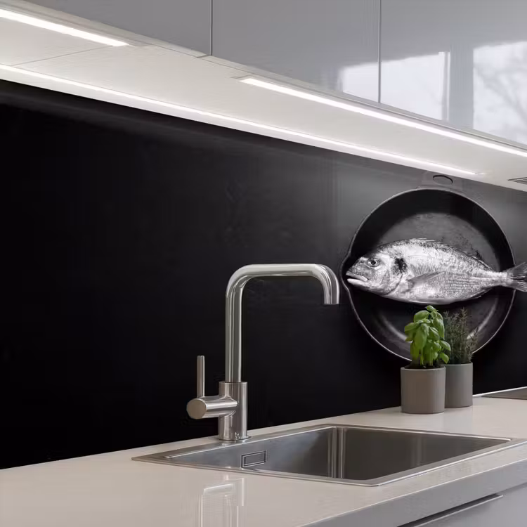 Pan - Vis - Zwart - Wit keuken achterwand 2 middel -3d_schuin