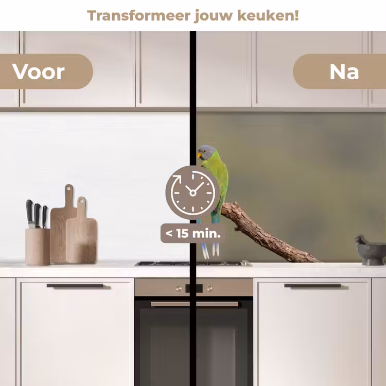 Papagaai - Tak - Natuur - Kleurrijk keuken achterwand 2 middel -voor-na2_NL