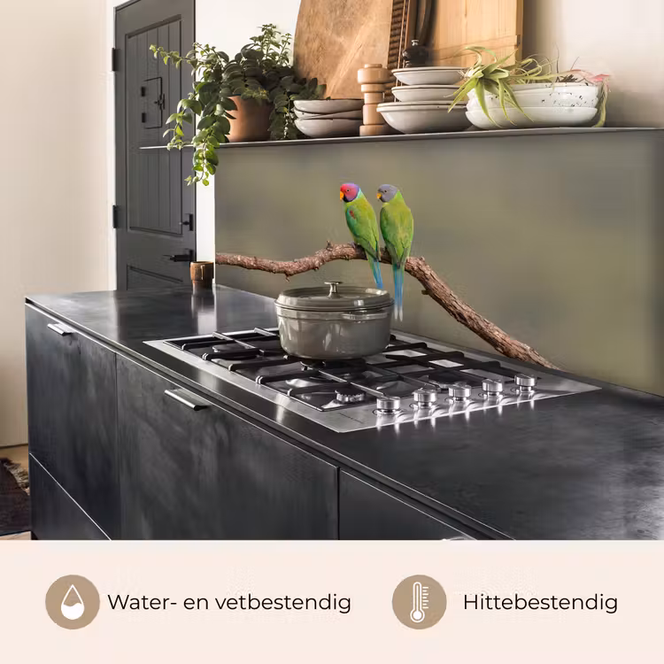 Papagaai - Tak - Natuur - Kleurrijk keuken achterwand 2 middel -usp_NL