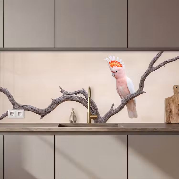 Papagaai - Tak - Roze keuken achterwand 2 middel zz_3dshopping