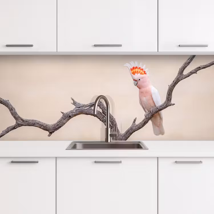 Papagaai - Tak - Roze keuken achterwand 2 middel -3d