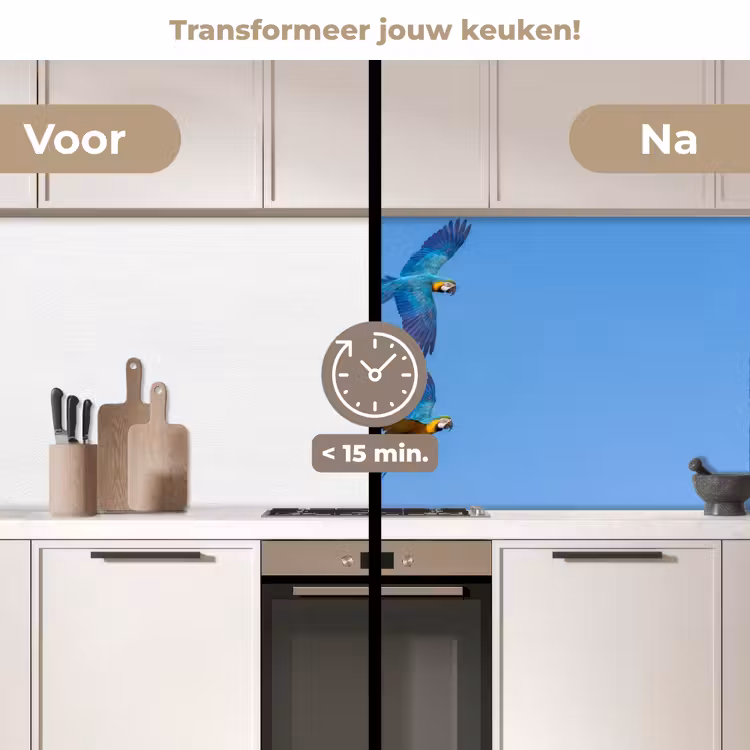 Papagaai - Vliegen - Blauw - Geel keuken achterwand 2 middel -voor-na2_NL