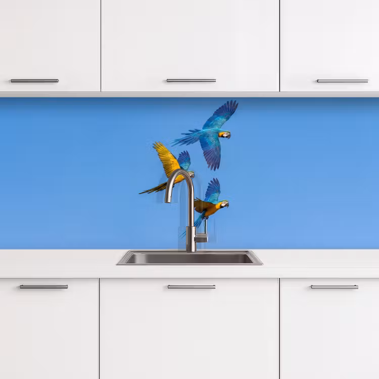 Papagaai - Vliegen - Blauw - Geel keuken achterwand 2 middel -3d