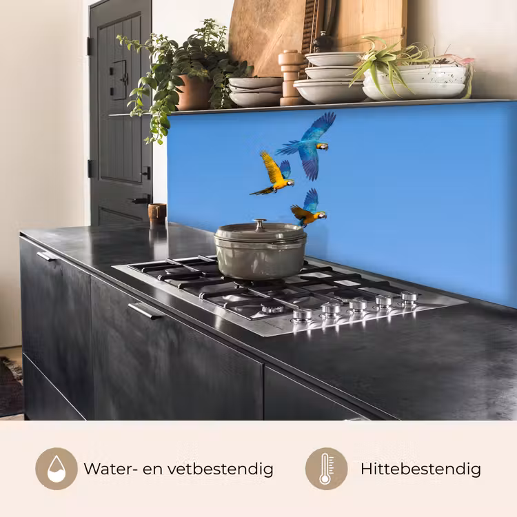 Papagaai - Vliegen - Blauw - Geel keuken achterwand 2 middel -usp_NL